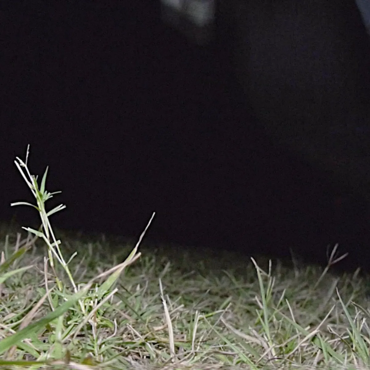 Still from Watch Me x Harry and Marv